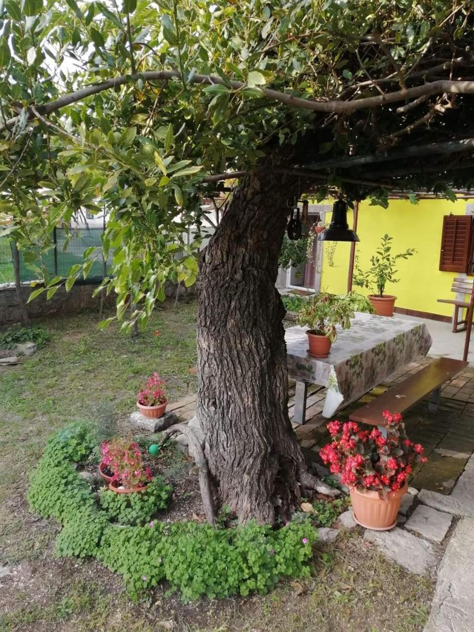 Holiday House Nono Лабин Экстерьер фото